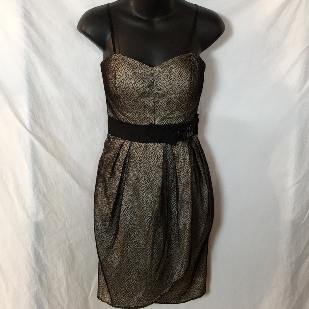 max and cleo nude black lace cocktail dress size 4